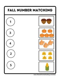 Check out this fun fall numbers matching activity worksheets. 12 pages. Get it now. Check out our free worksheets at www.lifeandhomeschooling.com. Thank you so much.