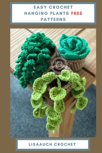 3 Easy crochet Succulent plant with pot snd soil! crochet hanging vines free crochet patterns! 3 crochet plant patterns free