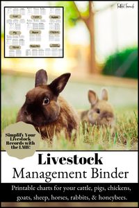 The Livestock Management Binder | Faithful Farmwife