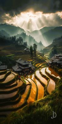 Rice terraces of Yuanyang.