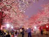 Ueno: 10 Best Things to Do in 2021