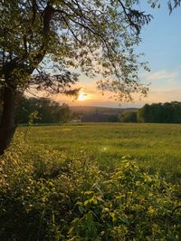 The views here are stunning! The rolling meadows are filled with wildflowers in the spring. In colder months, you can check out the many buildings that remain from the hospital's heyday.