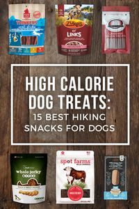 We've listed a variety of 15 high-calorie treats that you should bring hiking with your dog. What treats should I bring for hiking with my dog?