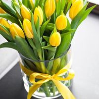 yellow tulips