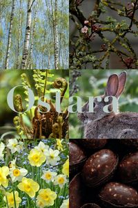 #ostara #spring #springequinox #wheeloftheyear #paganism