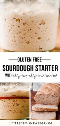 Learn how to make a gluten free sourdough starter from scratch and bake delicious gluten free sourdough bread in just 5-7 days!