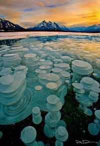 Frozen Abraham Lake, Alberta Canada