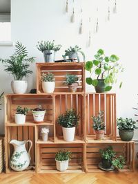 H O M E D E C O R ✔️ Horta ✔️ Plantas #homedecor