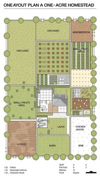 Maximize Your 1 Acre: Homesteading Essentials: Make the most of your one-acre homestead with these essential tips. From gardening to livestock, achieve self-reliance.