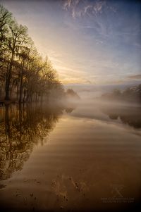 Caddo Lake in the fog. Photo by Sterling T. Steves