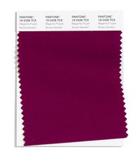 Fashion Color Trend Report New York Spring/Summer 2020 | Pantone