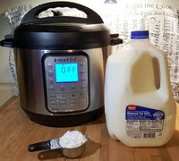 Instant Pot Greek Yogurt - This Old Gal