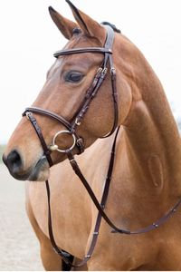 Be sure to stand out in the ring with this luxury, Constance Padded, Brown Leather Bridle. Perfect for an everyday ride or for show day.