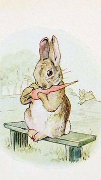 beatrix potter desenhos - Pesquisa Google