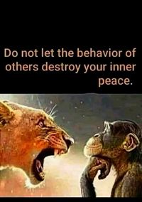 Behavior and peace