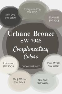 Urbane Bronze SW 7048 Paint Color by Sherwin Williams - DecorCreek