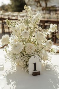 Serendipity Gardens Wedding Darian Shantay Photography — Darian Shantay Photography