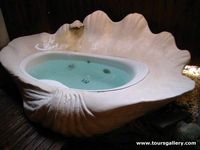 How about a giant shell for a bath!  Brought to you by Williams Group, Selling Florida Real Estate, Selling the Florida Lifestyle Williams Group of Pelican Real Estate. See more properties on our Facebook page www.Facebook/... Twitter @FL_REO_Sales , and on our webpage www.WilliamsGroup...