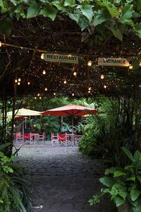 Garden - A dimly lit covered walkway leading to an outdoor bar area