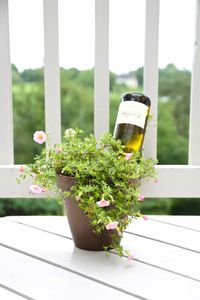 How to water plants while away