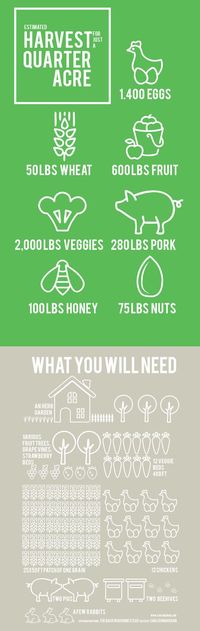 You can homestead on just a quarter of an acre and this is what you have the potential to harvest!