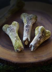 Candy Cap Bones: The Old Mysteries of Dark Woods