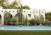 Salvaged native Mexican Fence Post cactus (Pachycereus marginatus) grow against the serene backdrop of whitewashed walls of a 90-year-old adobe house in Paradise Valley. Native desert plants “mediate” between the historic building and a modern lap pool. #gardenista