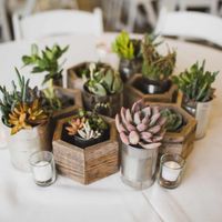 Fall Wedding Centerpieces | One Should Consider To Enhance The Decor