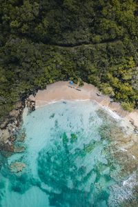 plage-des-salines-martinique-hellotravelers4