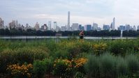 Running Around the Reservoir in Central Park, New York