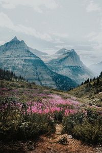 Views from the Going to the Sun road in Glacier National Park, Montana. Not a hiker, you can still enjoy a lot of what Glacier has to offer with the Going-to-the-Sun road. This road meanders through the park. You will see lakes, waterfalls, forests, mountains. It is one of the best drives ever. Check out the best things to do in Glacier National Park. #glaciernationalpark #traveldestinations #beautifulplaces