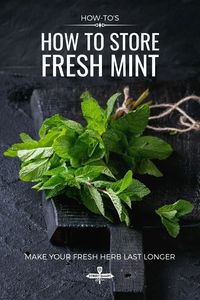 How to Store Fresh Mint (and Make Your Fresh Herbs Last Longer)