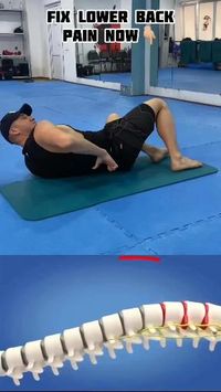 Lower Back Pain Workout - Fix Lower Back Pain Now Simple Lower back stretching #weightloss #weightlosstransformation #weightlossjourney #weightlossmotivation #weightlosssuccess #weightlossadvice #weightlossresults #wls #wlsjourney #journey #transformation #weightlossmission #wlstransformation #fitness #fitnessmotivation #fitnessjourney #fatburning #loseweight #fatloss #extremeweightloss #beforeafter #newyork #newjersey #workoutforweightloss #stretching