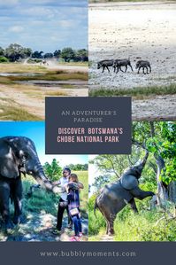 Botswana Okavango Delta Safari and Sanctuary Baines’ Camp | Moremi Game Reserve | Impressive wildlife and untainted wilderness | Game Drive | Living with Elephants Foundation | Luxurious Haven in the Lap of Nature |  Africa | Travel | Travel Photography | Bubbly Moments