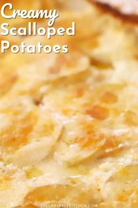 This Creamy Scalloped Potatoes recipe is made with fresh potatoes, cheese, sour cream, and herbs. These cheesy potatoes are simple to make and perfect for your family dinner or holiday meal. #thecarefreekitchen #potatoes #scallopedpotatoes #sidedish #potatosides #dinner