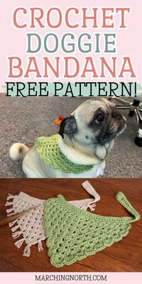 Daisy's Dog Bandana: Free Crochet Pattern   Video!