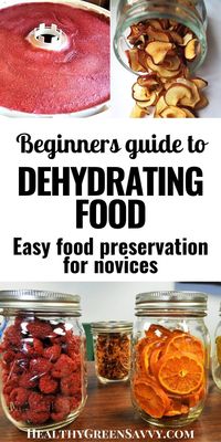 Dehydrating fruits and veggies from your garden or CSA is an easy, economical way to enjoy the bounties of summer all year round. Never tried dehydrating food before? Here’s what you need to know to get started. #dehydrating #dryingfood #foodpreservation #dehydratefood #preparedness #snacks #dehydrator