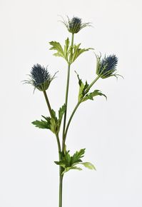 Our blue thistle spray makes for a great filler to any arrangement. A definite showstopper with its unique detail. Looks every bit of lovely. Details: - Total Length of Stem from Top to Bottom: 32.5"- Splits 17.5" from the bottom of stem- Number and Size of Blooms: 3 @ 2" on 3 branches- Number of Leaves: 6- 1 Stem seen in primary photo.- Sold by the stem- Is the item considered “real touch”? No- Can item be cut: Yes, with good pair of wire cutters- Suitable for Outside Use: 99% of our items are