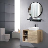 Sand & Stable Bucharest 24'' Single Bathroom Vanity with Plastic Top with Mirror & Reviews | Wayfair