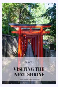 Visiting the Nezu Shrine Tokyo and where to find breakfast