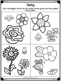 🌼 FREE Printable Flower Worksheets for Preschool and Kindergarten