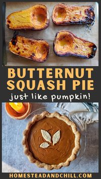 Please enjoy our delicious butternut squash pie recipe with easy step-by-step directions. It's made with fresh roasted butternut squash, all the classic warm pumpkin pie spices, and vegan substitutions included. We love ours with a flaky homemade sourdough crust! #butternutsquashpie #butternutsquash #pumpkinpie