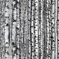 Image result for white birch