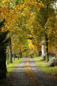 Country road, Loudon County, VA