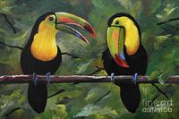 Parrot Painting - O Yeah Yeah Yeah -toucans by Suzanne Schaefer