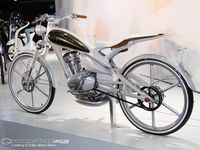 yamaha moegi - Google zoeken