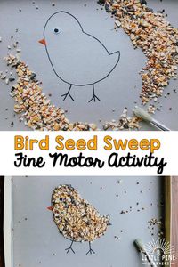 Bird Seed Sweep {A Fine Motor Activity} • Little Pine Learners