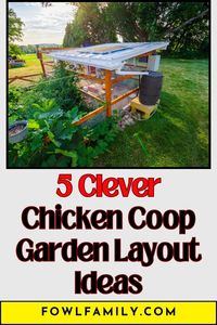 Maximize your backyard space with these 5 clever chicken coop garden layout ideas. Learn how to integrate your coop seamlessly into your garden design. Create a beautiful, functional space for both plants and poultry.