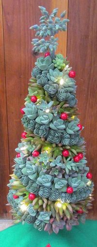 Succulent Christmas Tree Wow! I have to figure this one out.