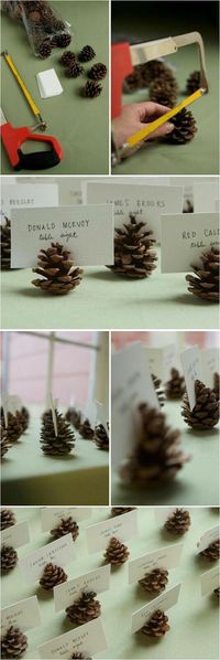 Pinecones for wedding seating placement